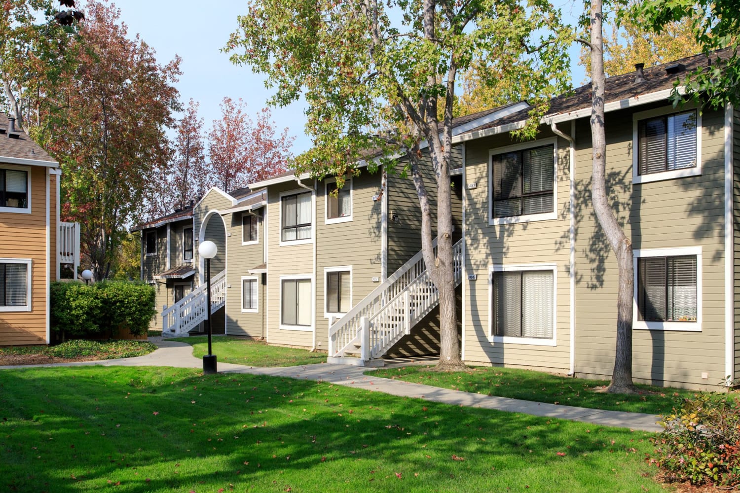 View of the housing and trees at Amber Court in Fremont, California