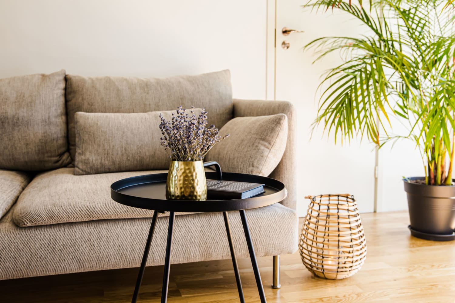 Modern furnishings and hardwood-style flooring in a model home's living space at Auburn Villas Senior Apartments in Auburn, California