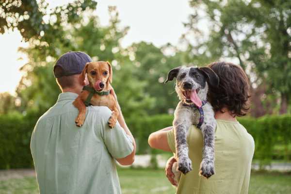 Residents carrying their puppies on shoulders and walking in the park near Keystone Trailhead Village in Reno, Nevada