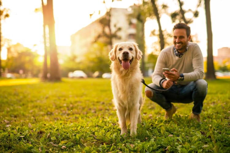 Happy resident and his dog at a park near Magnolia on the Green in Allen, Texas