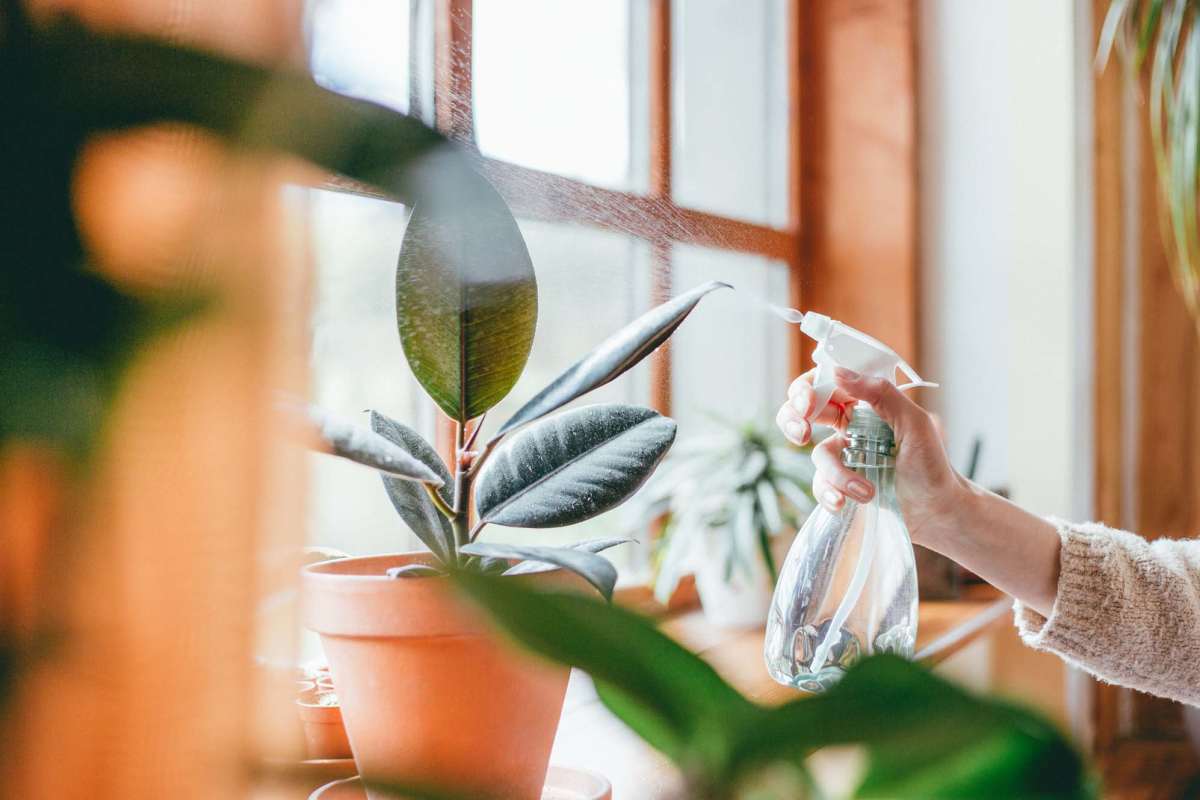 A woman cleans a plant with a spray bottle at Granite Creek in Rocklin, California.