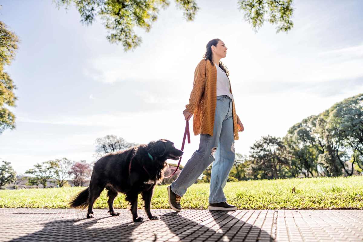 Resident with her dog outside on a beautiful afternoon at Valley Creek Apartments in Hurst, Texas