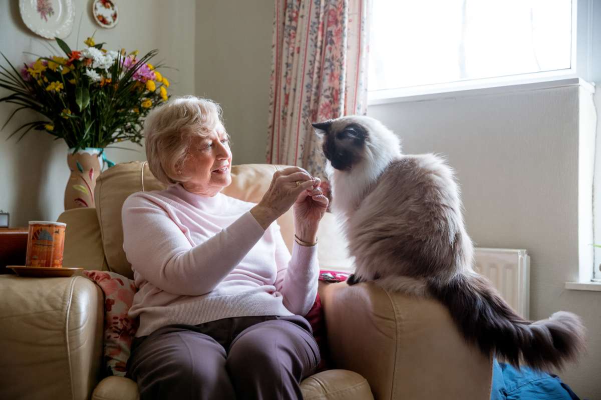 Cozy living room with woman and fluffy cat enjoying each other's company at Villas At Meadow Springs in Ankeny, Iowa