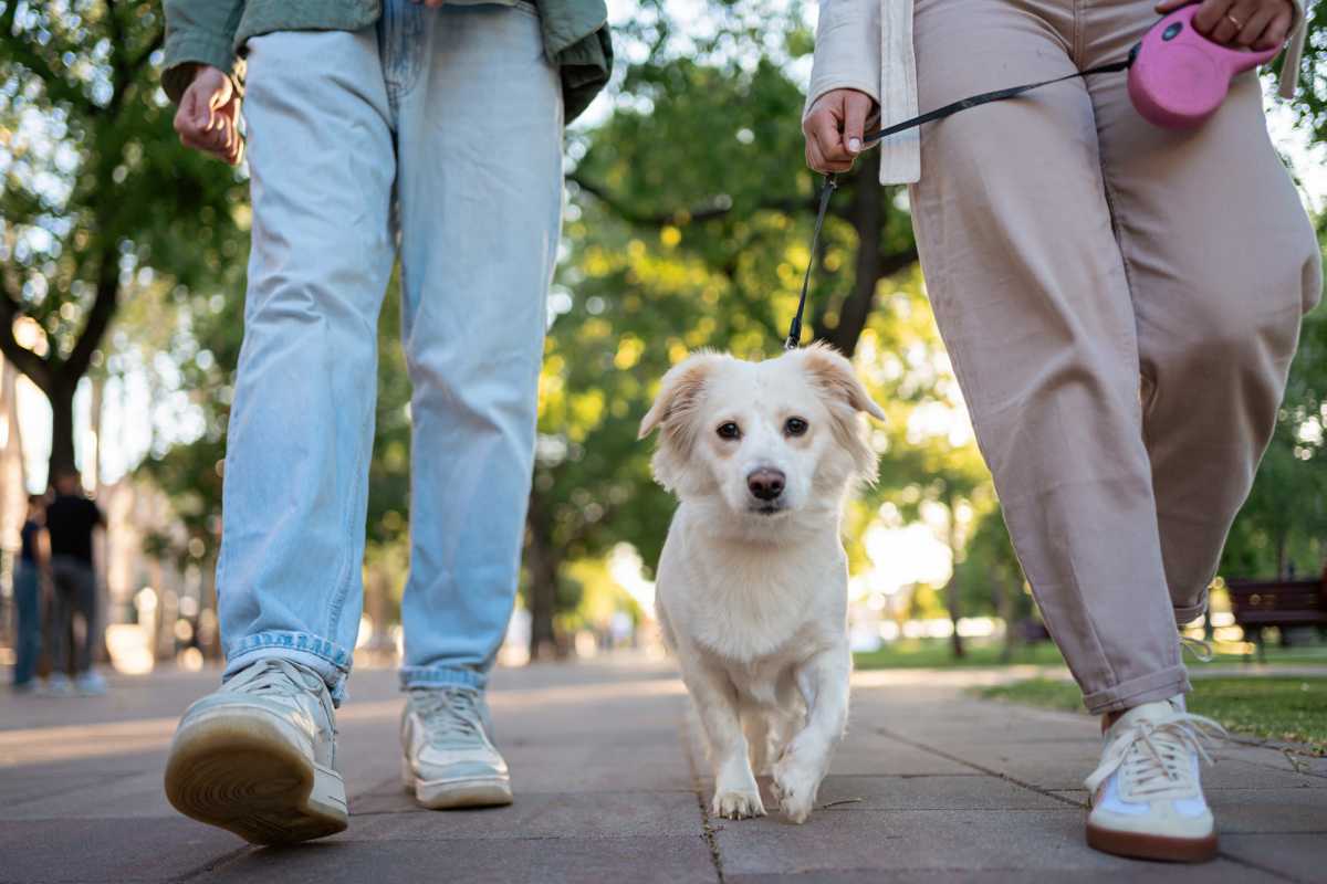 Residents walking with hir dog at Atascocita Pines in Humble, Texas 