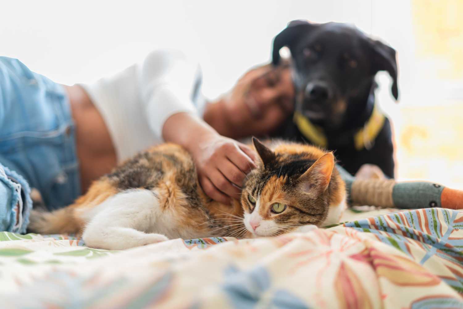 Resident with her pets in their apartment at Villa De Oro in San Antonio, Texas