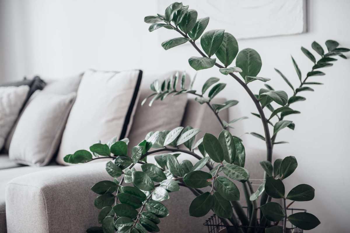 Living room of a model apartment at Butler Park in Andrews, Texas