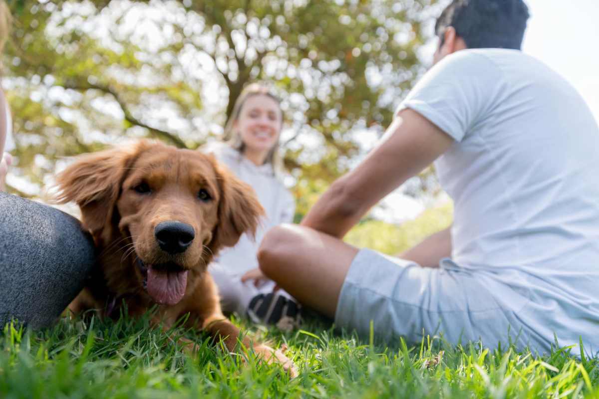 Resident with their pet dog in a park near Dunes Apartments in Seminole, Texas 
