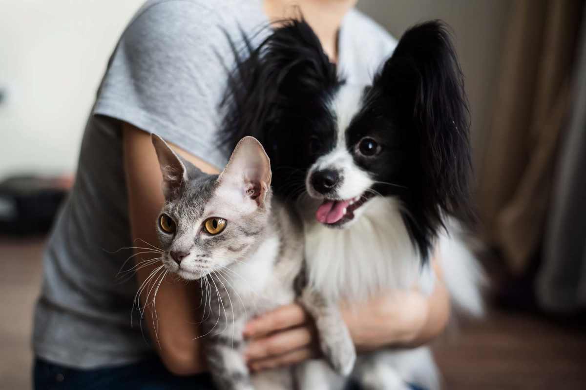 Resident with their pets at Churchill Apartments in Marshfield, Missouri
