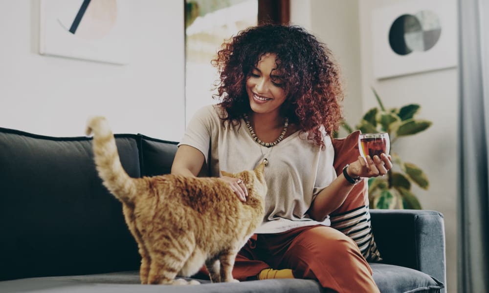 Resident giving her cat some love while enjoying some tea on the couch in their apartment at Oaks Vernon in Edina, Minnesota