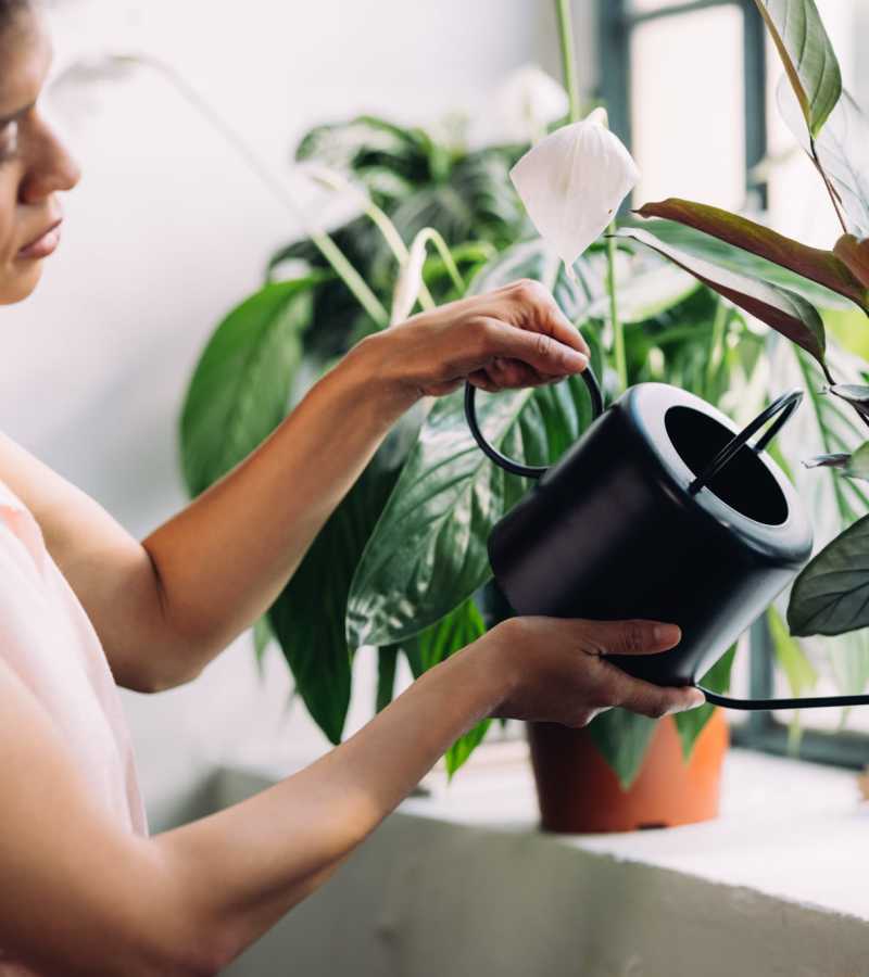 A Resident taking care of her plants which are in the balcony at Prosper 83 in Sparks, Nevada