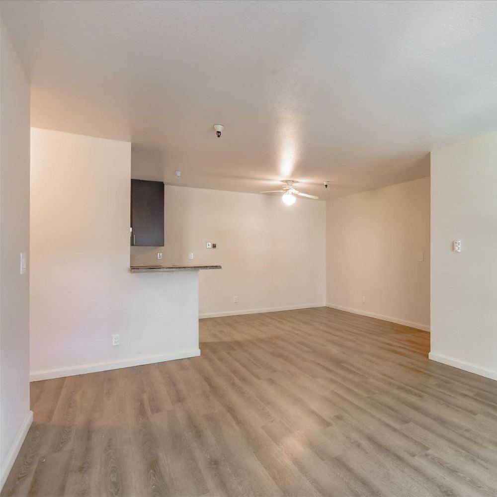 Spacious living room at Terman Apartments in Palo Alto, California
