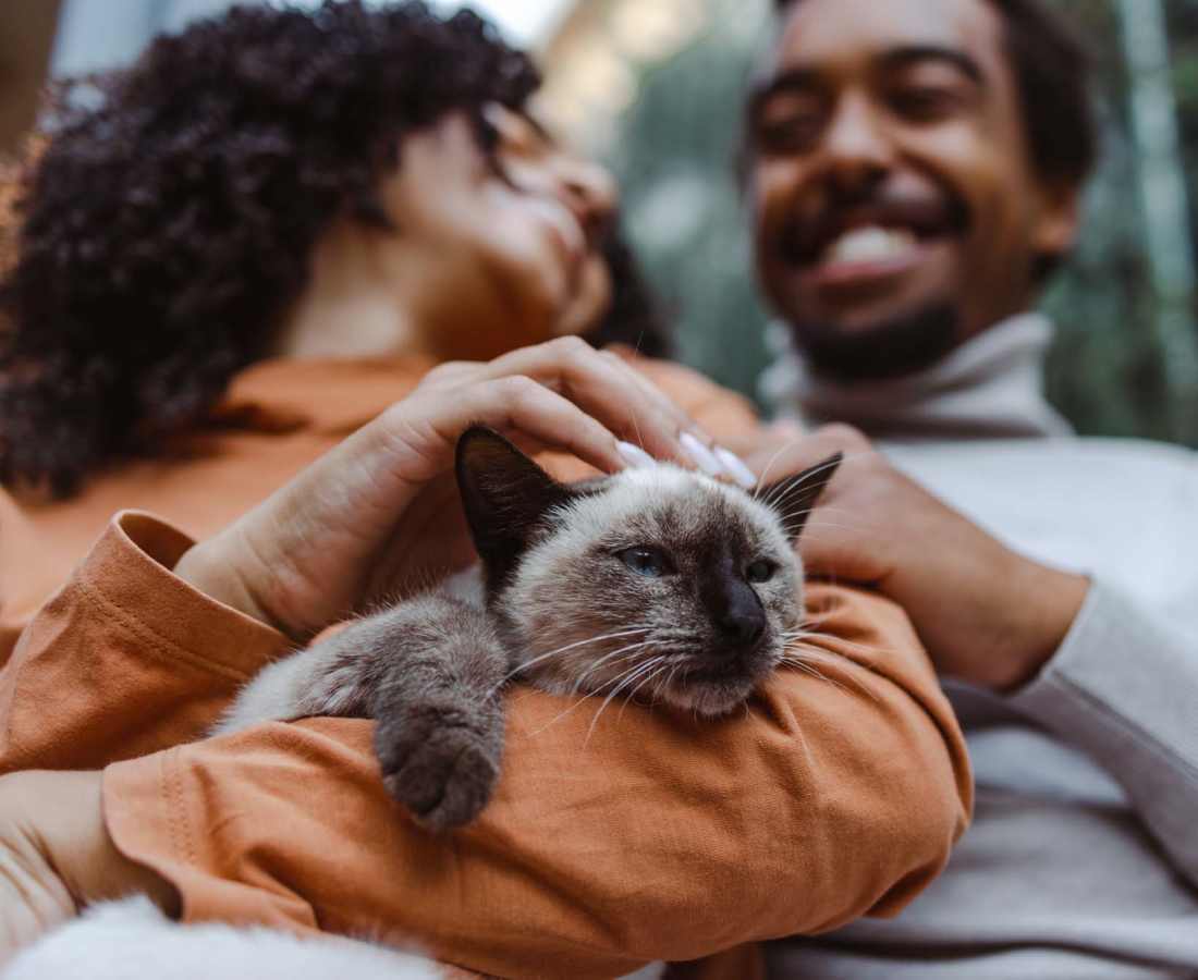Couple petting a cat at Glenridge Gardens in Augusta, Maine