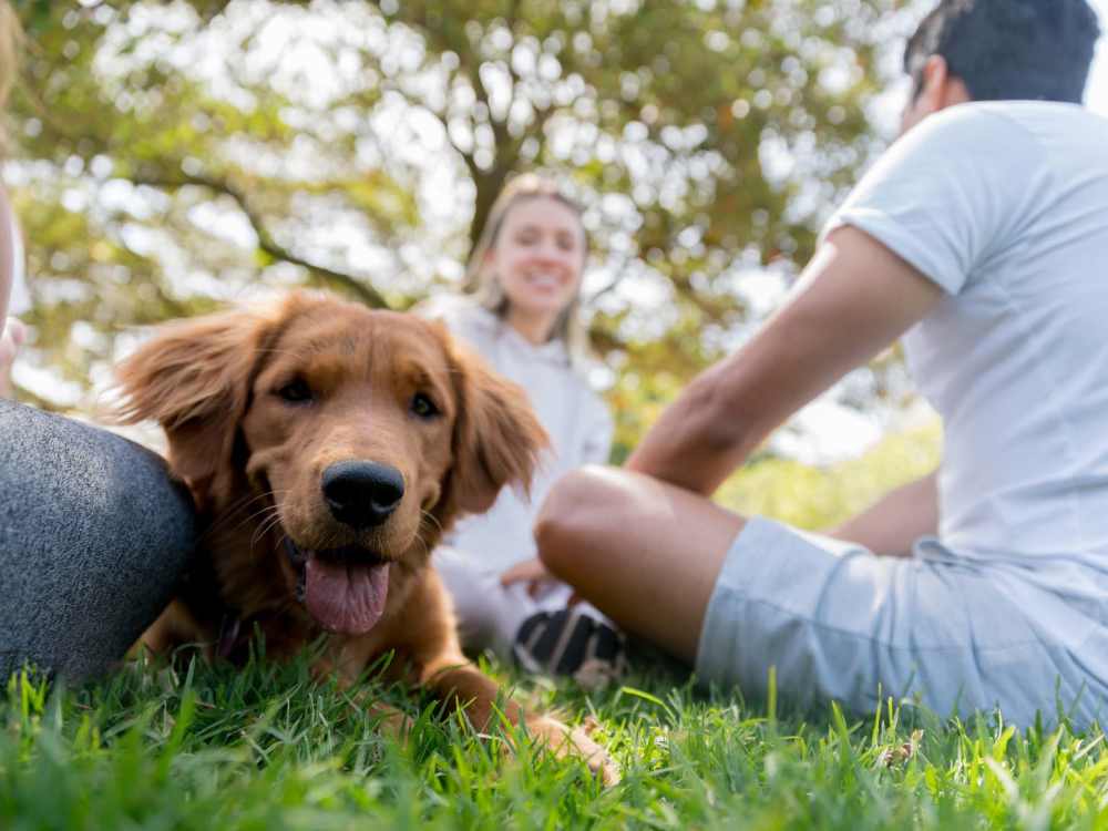Residents with their pet dog in a park near Flats on Fifth in Louisville, Kentucky