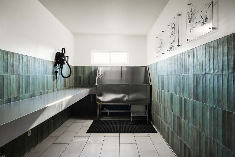 Dog grooming station at Citrus Gardens in West Covina, California