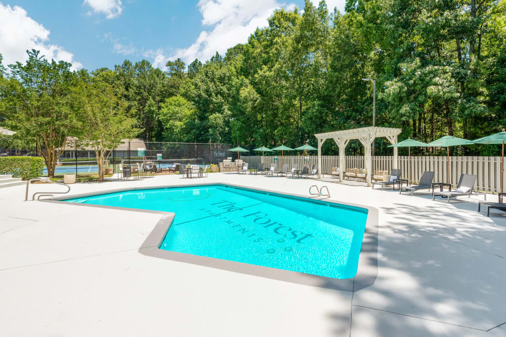 Sparkling pool at The Forest in Durham, North Carolina