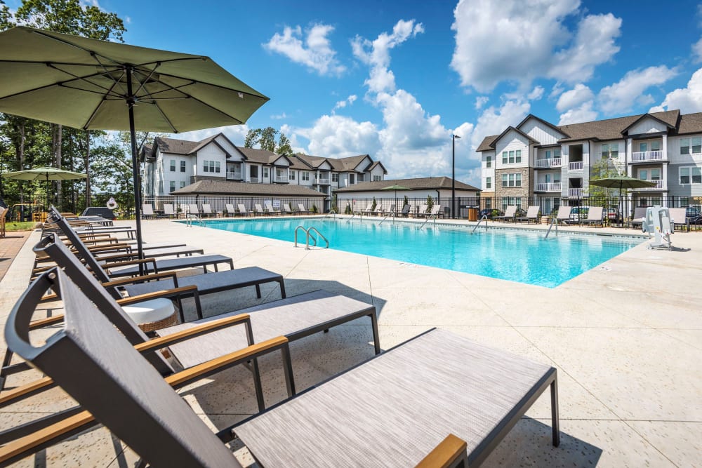 Beautiful swimming pool at The Collins | Apartments in Charlotte, North Carolina