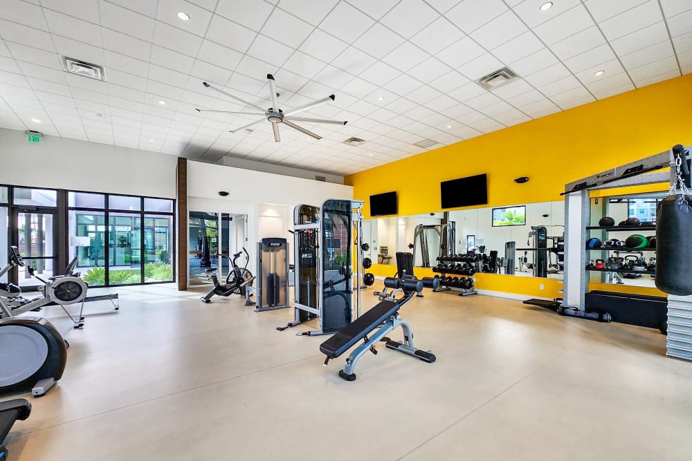 Fitness Center with Equipment at Elements on Third in St Petersburg, Florida