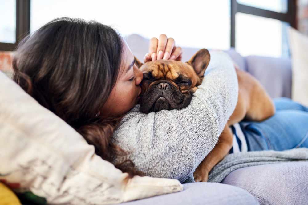Resident and dog relaxing in couch at Gateway Apartments in San Leandro, California
