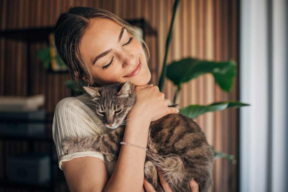 View the pet policy for Overland Flats in Maricopa, Arizona