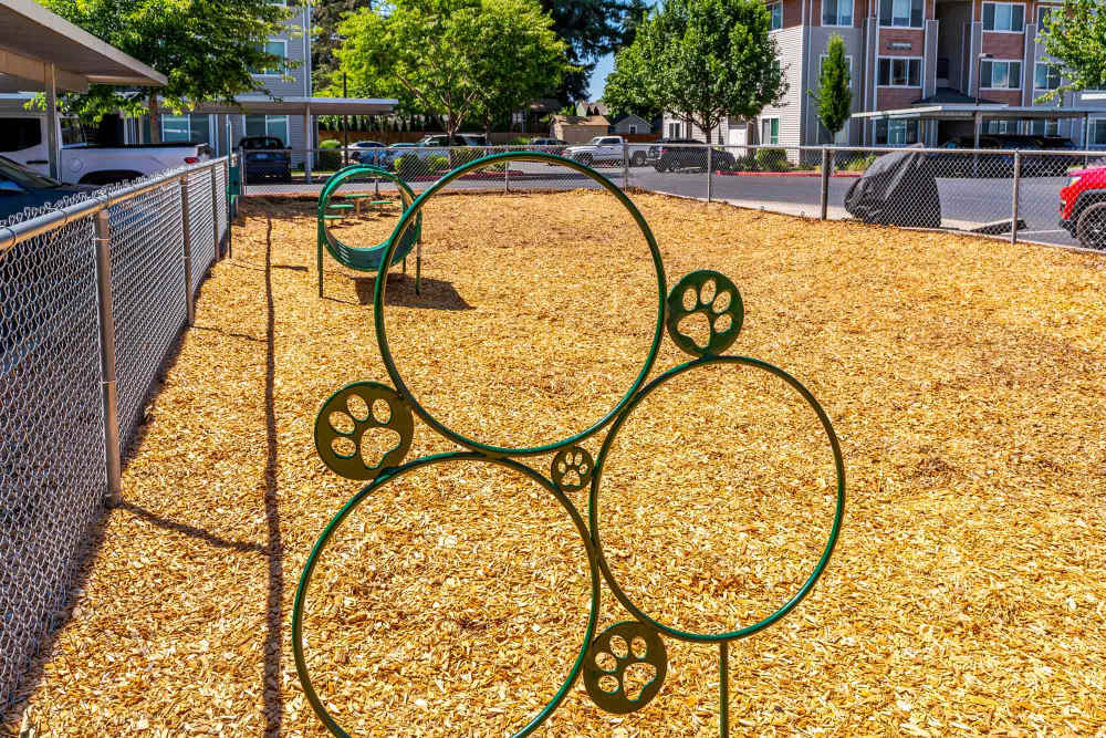 Dog Park at Ecco Apartments in Eugene, OR