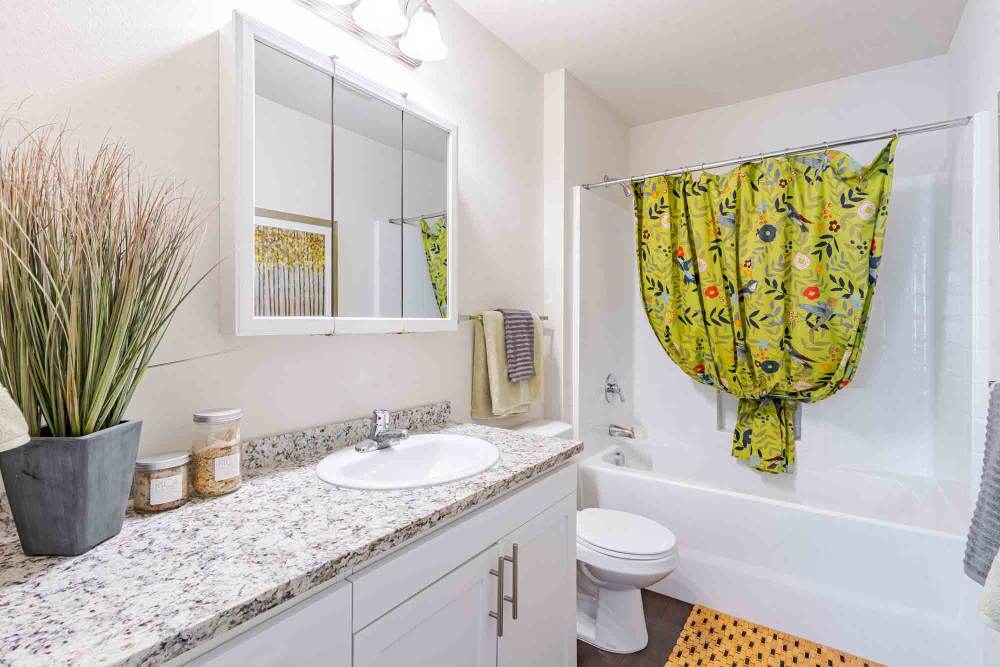 Bathroom of Ecco Apartments in Eugene, OR