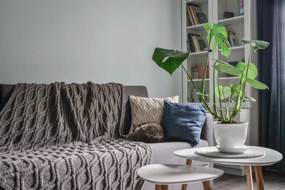 Living room with a comfortable couch at Baywood Apartments in Gretna, Louisiana