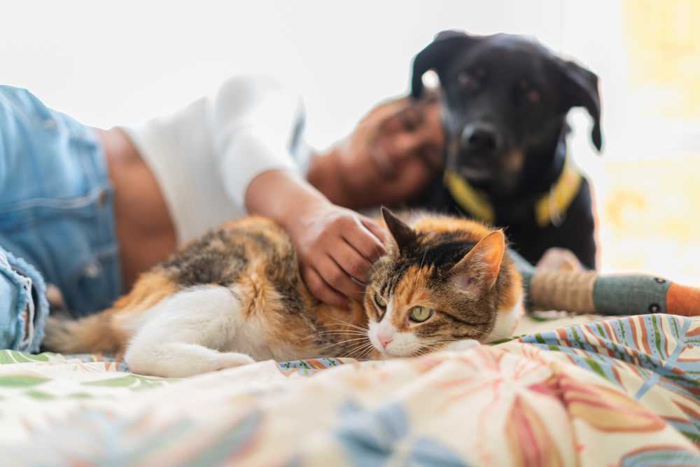 Resident with her pets in her pet friendly apartment at The Pines of Palos Verdes in Mesquite, Texas