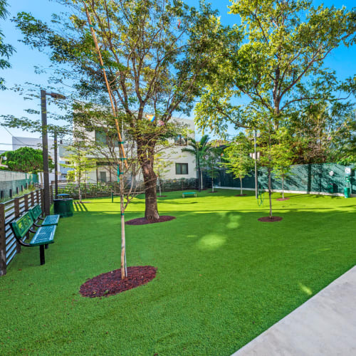 Benches and trees at the onsite dog park at The Vibe Miami Apartments in Miami, Florida