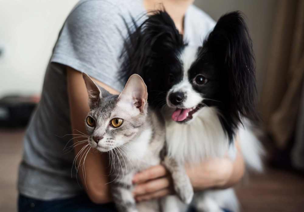 Resident with her cat and dog at The Villas at Rowland Heights in Rowland Heights, California