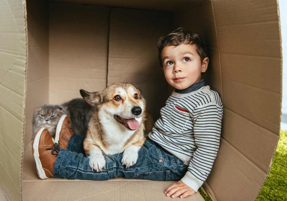 Pet policy at Mount Vernon Arms Apartments in Merrillville, Indiana