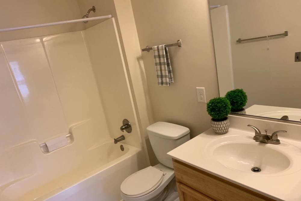 Modern apartment bathroom with updated fixtures at Arbors at Carolina Forest in Jacksonville, North Carolina