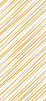 Divider Image