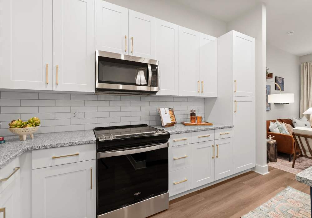 A stylish modern kitchen equipped with stainless steel appliances at EVOQ East Cobb in Marietta, Georgia