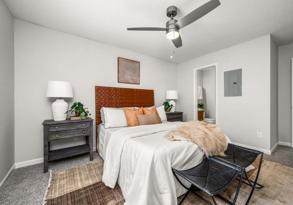 Bedroom with natural light falling at Saddlebrook Apartments in Murfreesboro, Tennessee