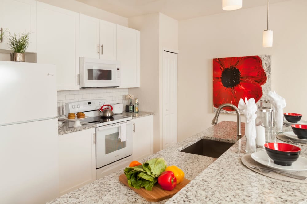 Apartment Features at The Gate Apartments in Champions Gate, Florida
