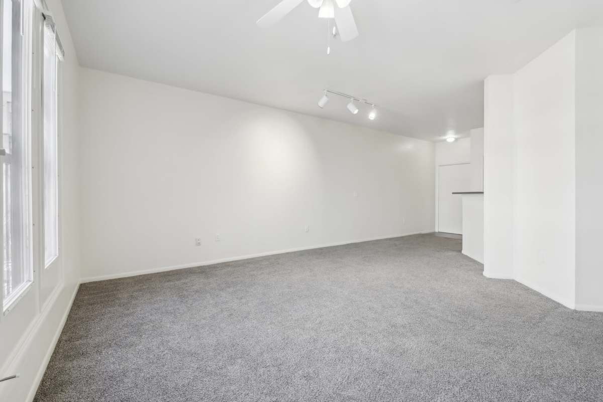 living room with carpeted flooring and living room