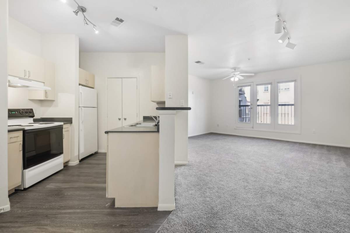 view of kitchen and living room