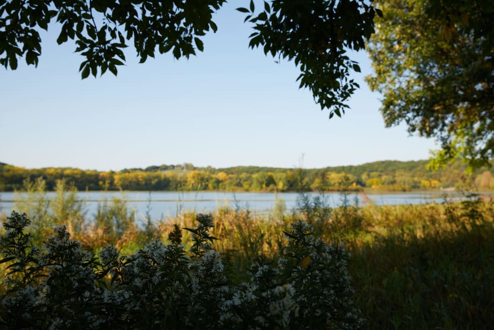 Lake near Amira Choice Bloomington in Bloomington, Minnesota