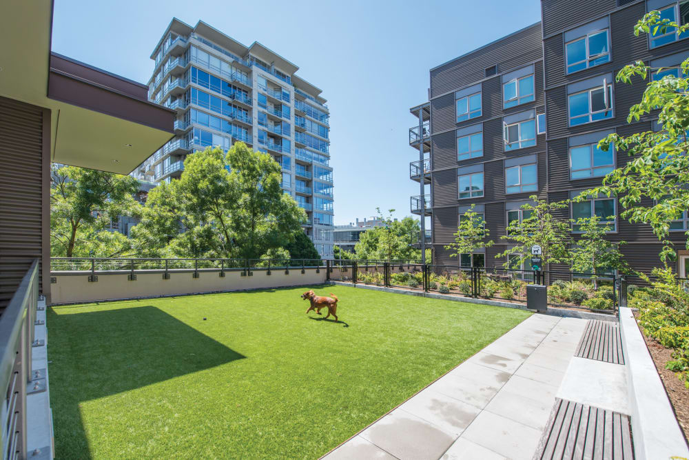 Apartments with city view and green space at 2900 on First Apartments in Seattle, Washington