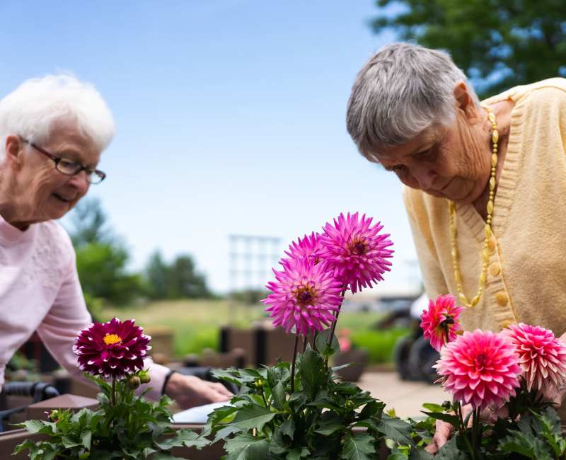 Residents planting flowers outside at Meadows on Fairview in Wyoming, Minnesota