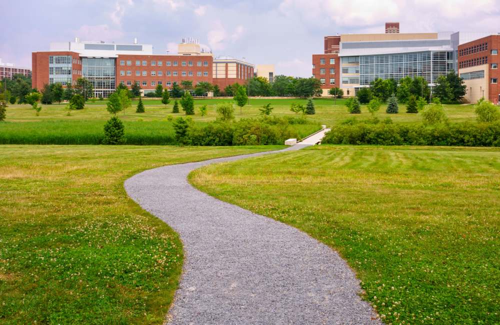 A beautiful road leading towards the community at Lancer Commons in Lancaster, South Carolina