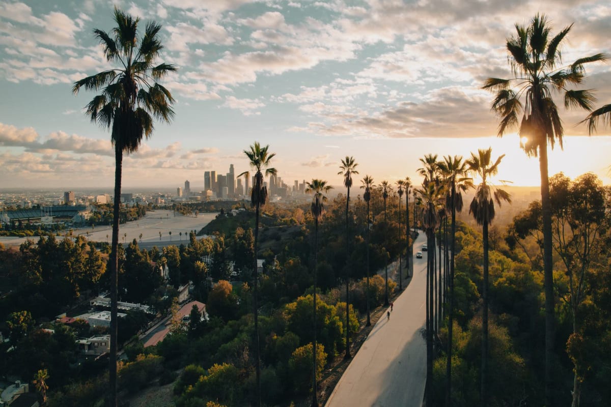 Skyline with palm trees near Los Feliz Village, Los Angeles, California