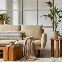 Leather sofa and end table with houseplants at Villagio in Ripon, California