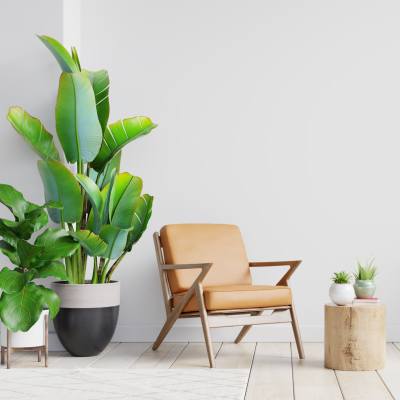 Modern living room with a tan armchair, potted plants, and a wooden side table at Valley Brook Townhomes in Rochester, New York