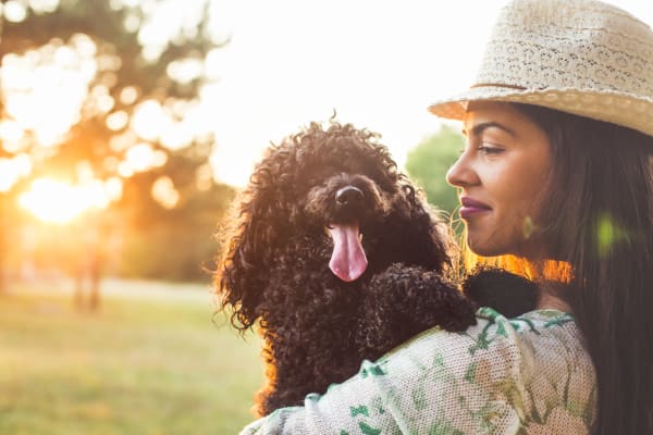 Pet friendly apartments at The Pavilions at Silver Sage