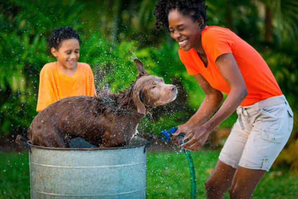 Residents giving their dog a bath at Parkland at West Oaks in Houston, TX