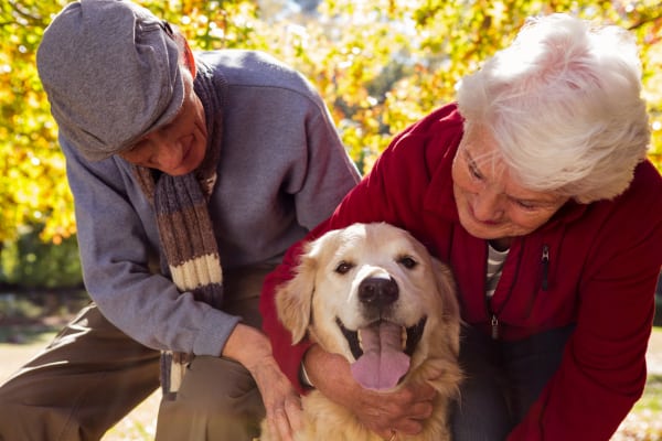 Happy resident couple with their dog at Pine Grove Crossing in Parker, Colorado