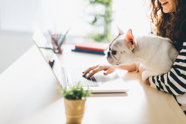 A small dog looking at a computer with his owner at The Kendall in Brunswick, Georgia