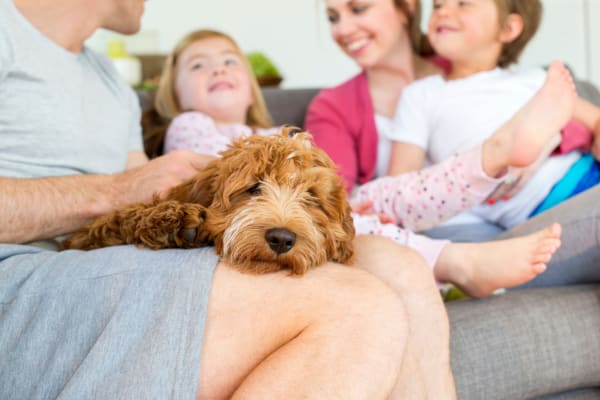 Family with their dog at The Village at Mill Creek in Statesboro, Georgia