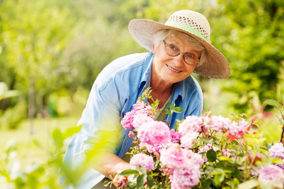 A resident gardening at Oxford Springs Edmond in Edmond, Oklahoma